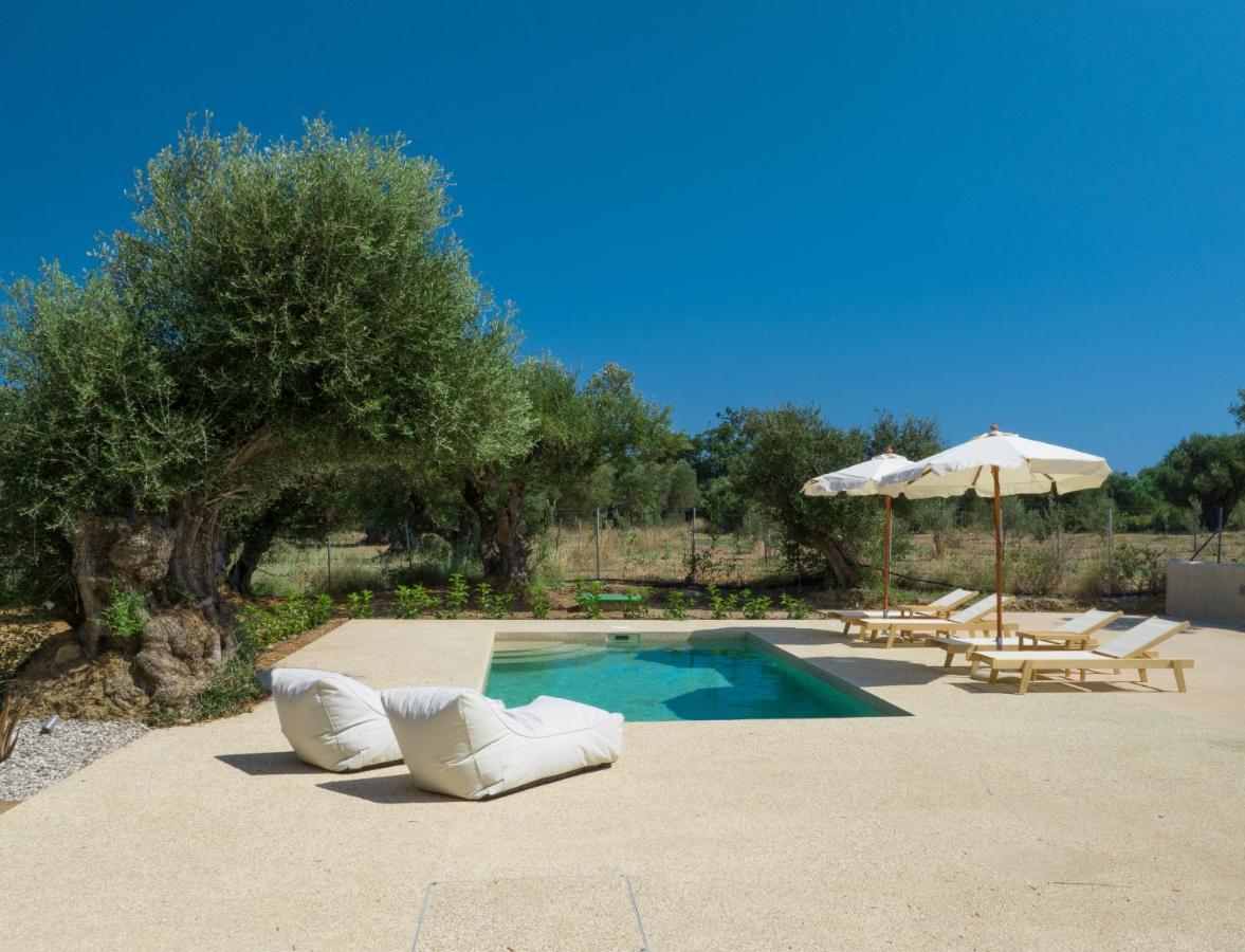 Terra Oleana Cottages Vasilikí 外观 照片