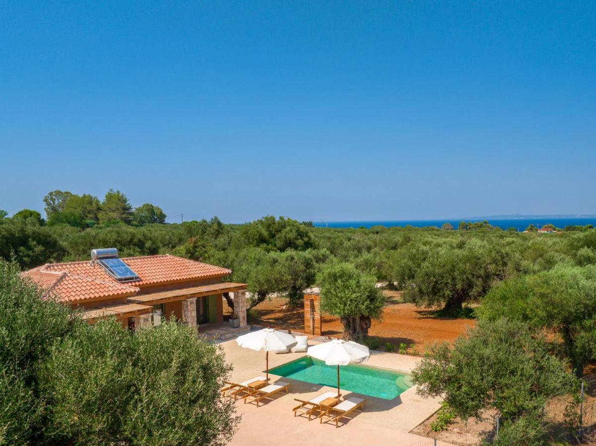 Terra Oleana Cottages Vasilikí 外观 照片